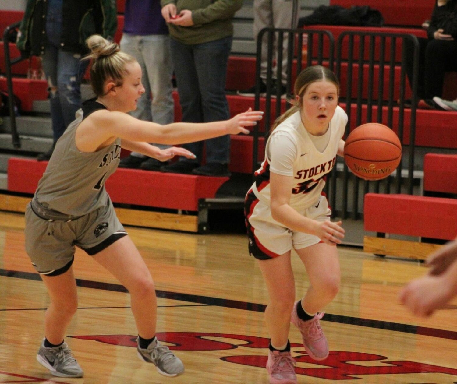 Inclement Weather Impacts Lady Tigers | Cedar Republican
